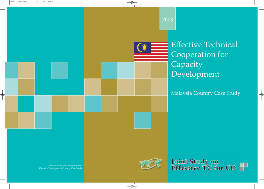 Effective Technical Cooperation for Capacity Development