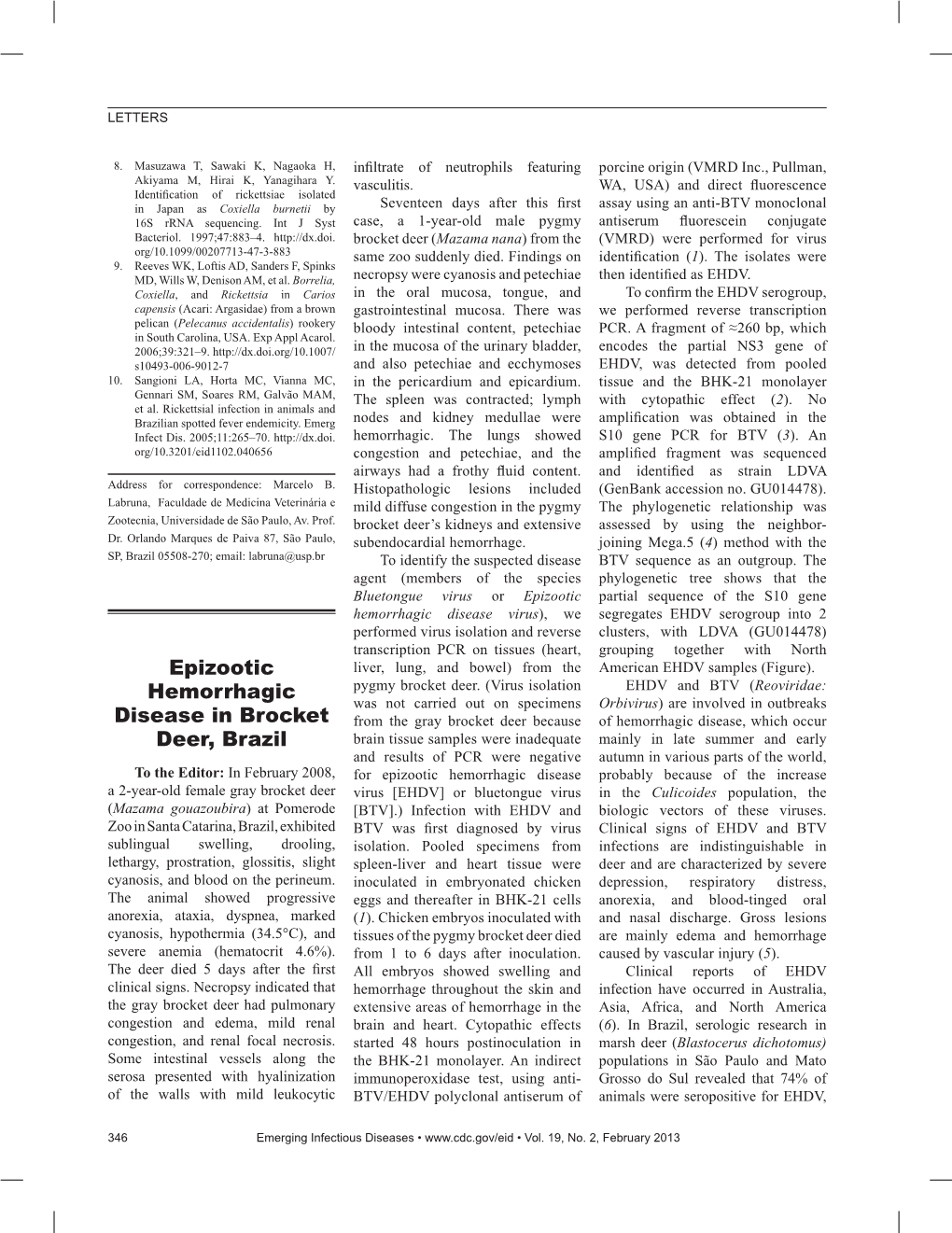 Epizootic Hemorrhagic Disease in Brocket Deer, Brazil