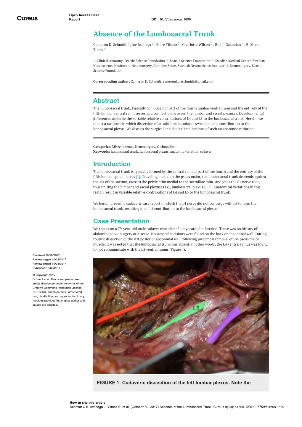 Absence of the Lumbosacral Trunk