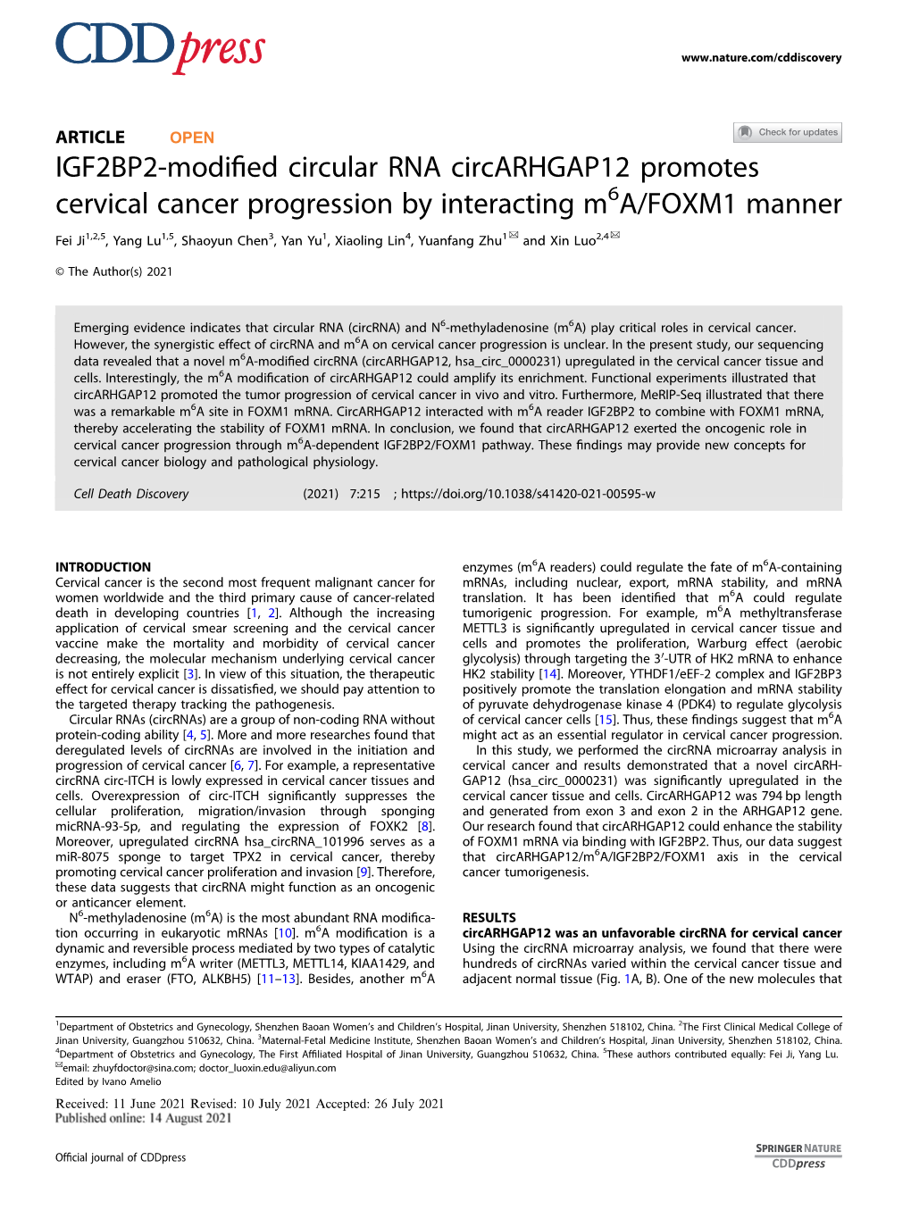 IGF2BP2-Modified Circular RNA Circarhgap12 Promotes Cervical