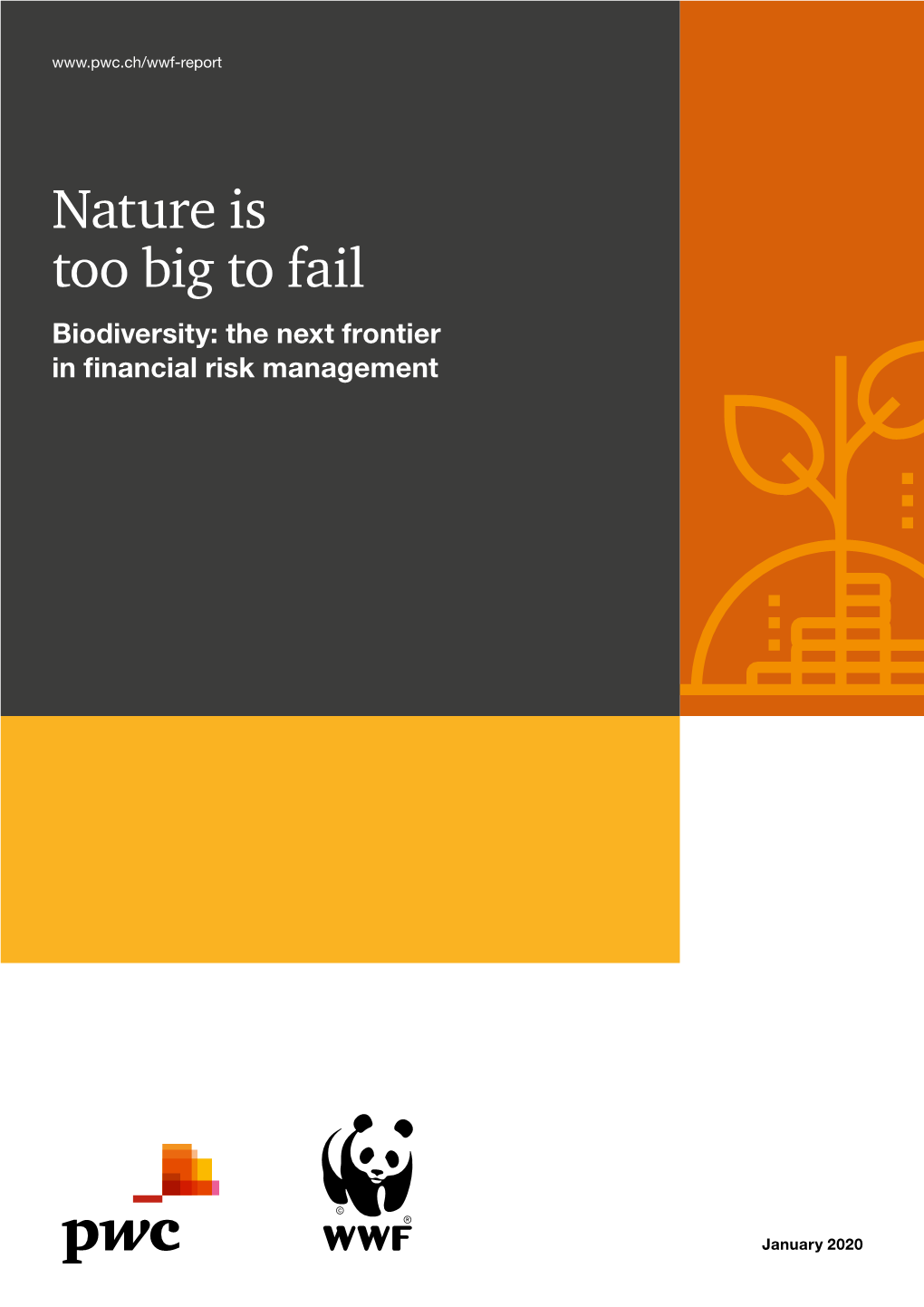 Nature Is Too Big to Fail. Biodiversity Is the Foundation for All Human Activity, and Thus Also the Foundation of the Financial System