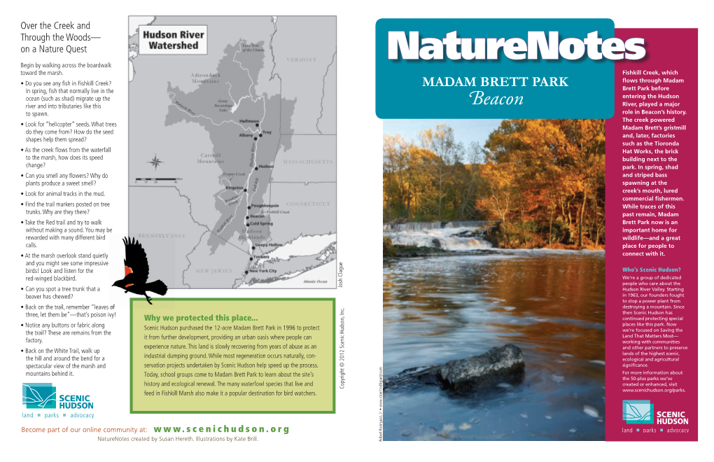 Naturenotes: Madam Brett Park