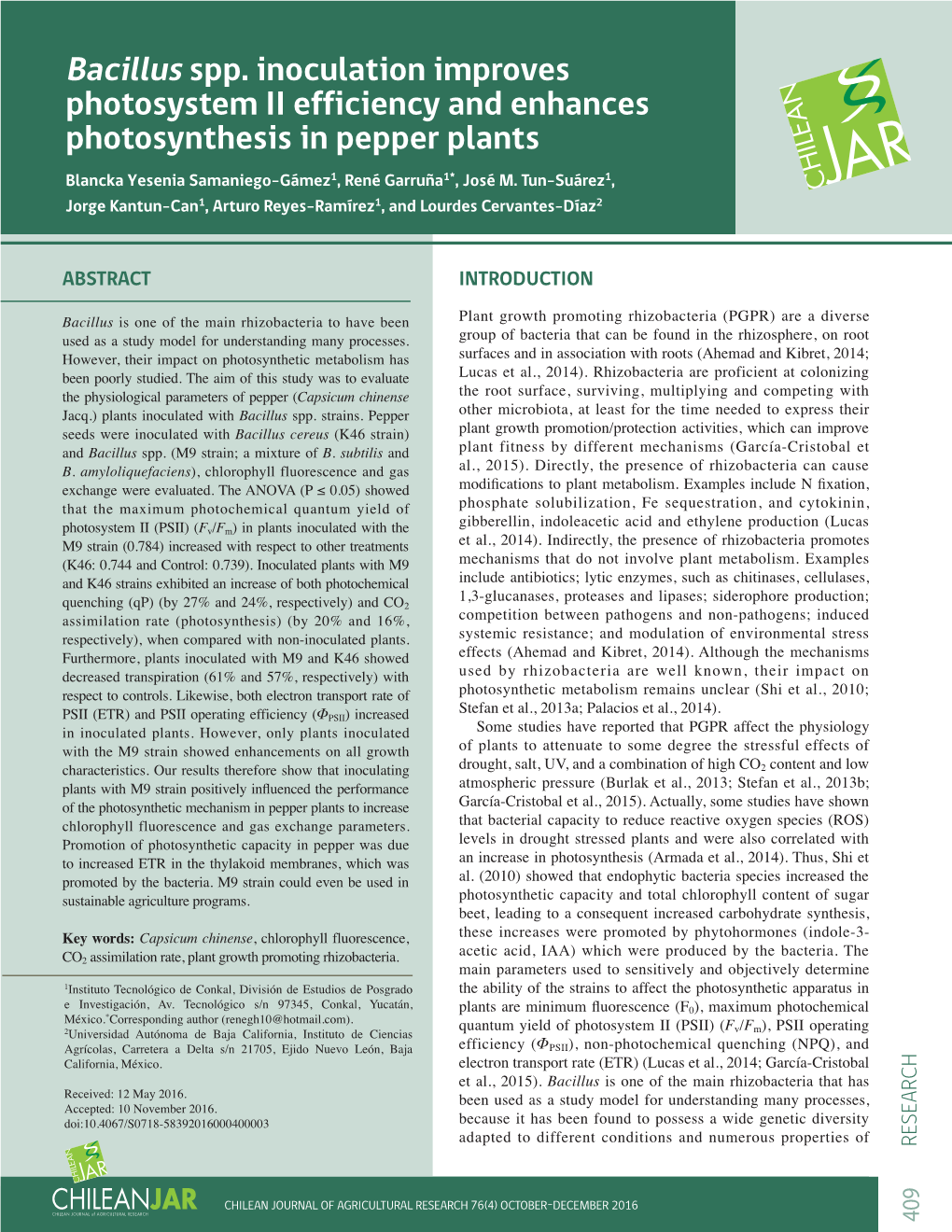 Bacillus Spp. Inoculation Improves Photosystem II Efficiency And