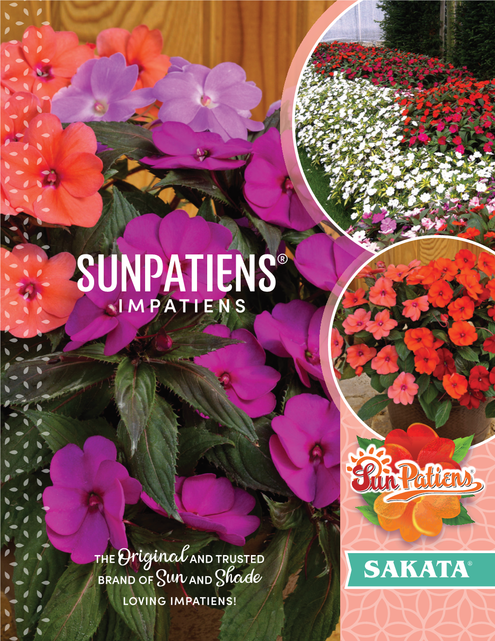 Impatiens Sunpatiens® Brochure