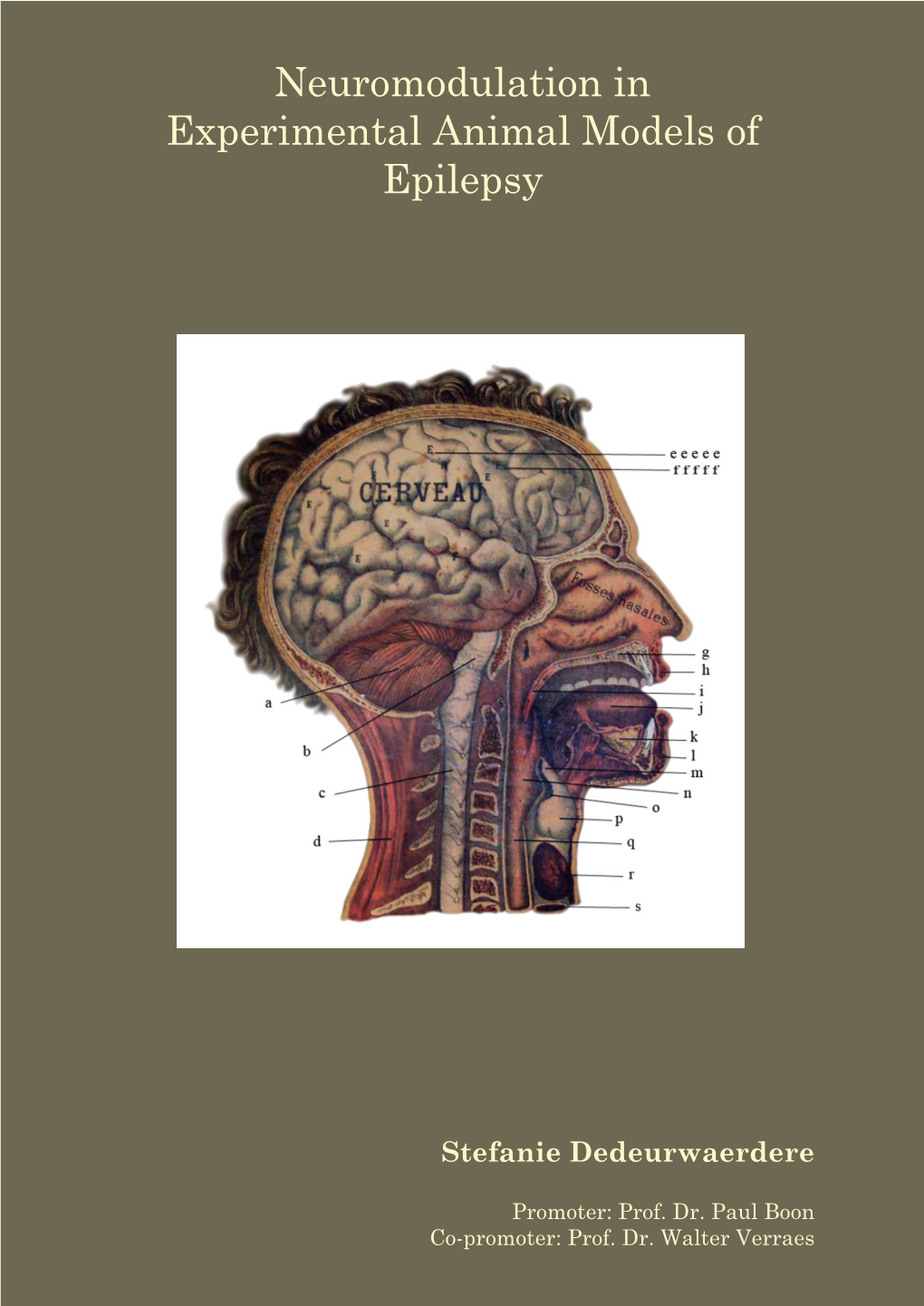 Neuromodulation in Experimental Animal Models of Epilepsy