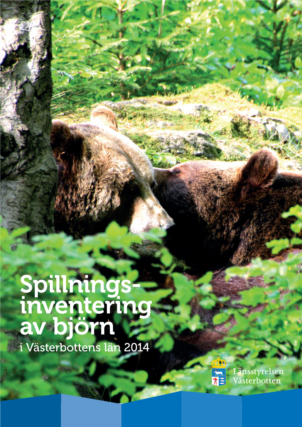 Spillnings- Inventering Av Björn I Västerbottens Län 2014