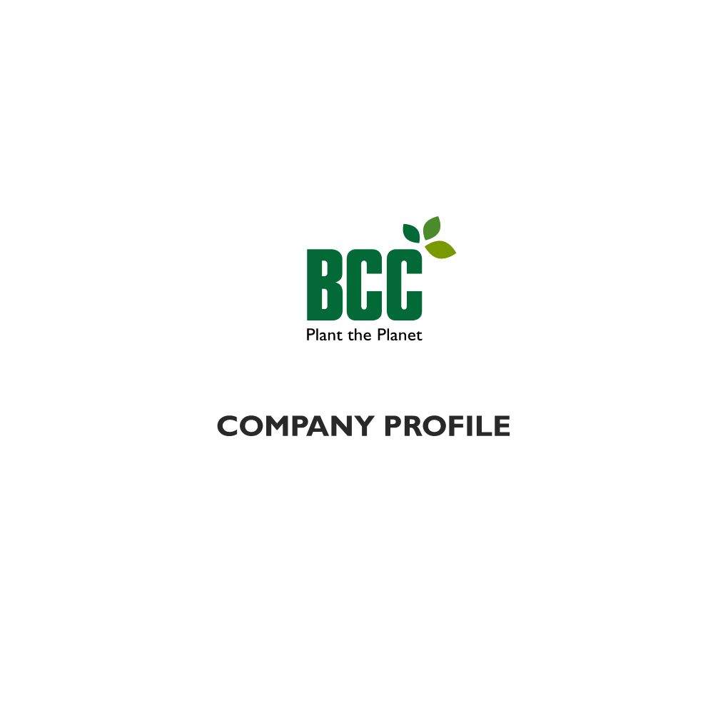 Company Profile English