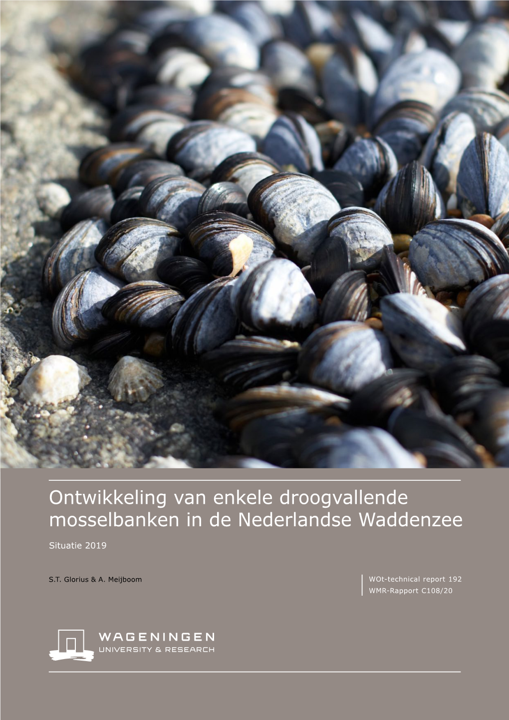 Ontwikkeling Van Enkele Droogvallende Mosselbanken in De Nederlandse Waddenzee