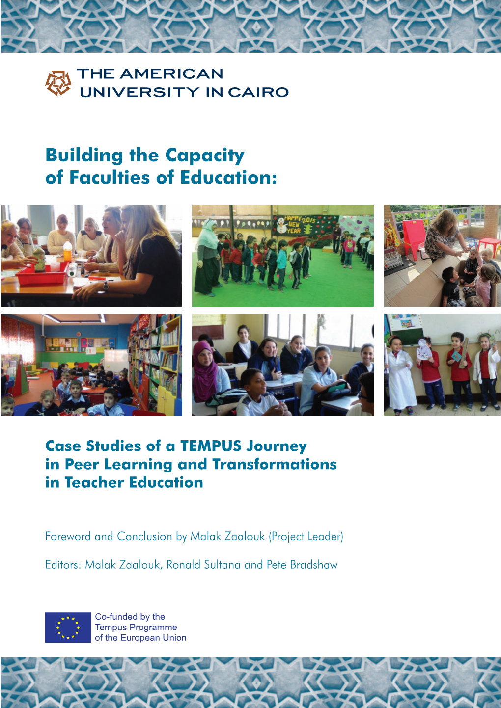 Building the Capacity of Faculties of Education