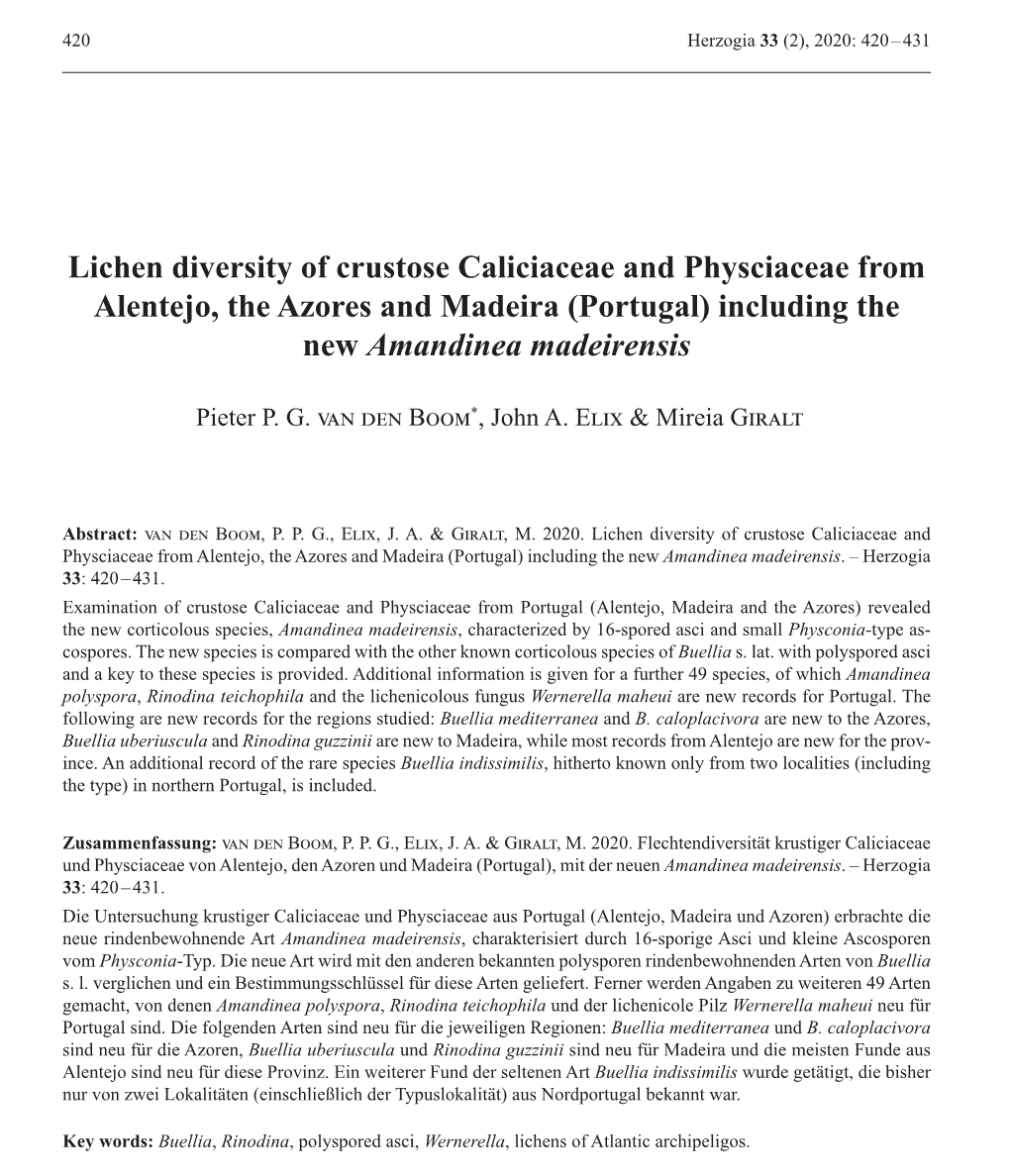 Lichen Diversity of Crustose Caliciaceae and Physciaceae from Alentejo, the Azores and Madeira (Portugal) Including the New Amandinea Madeirensis