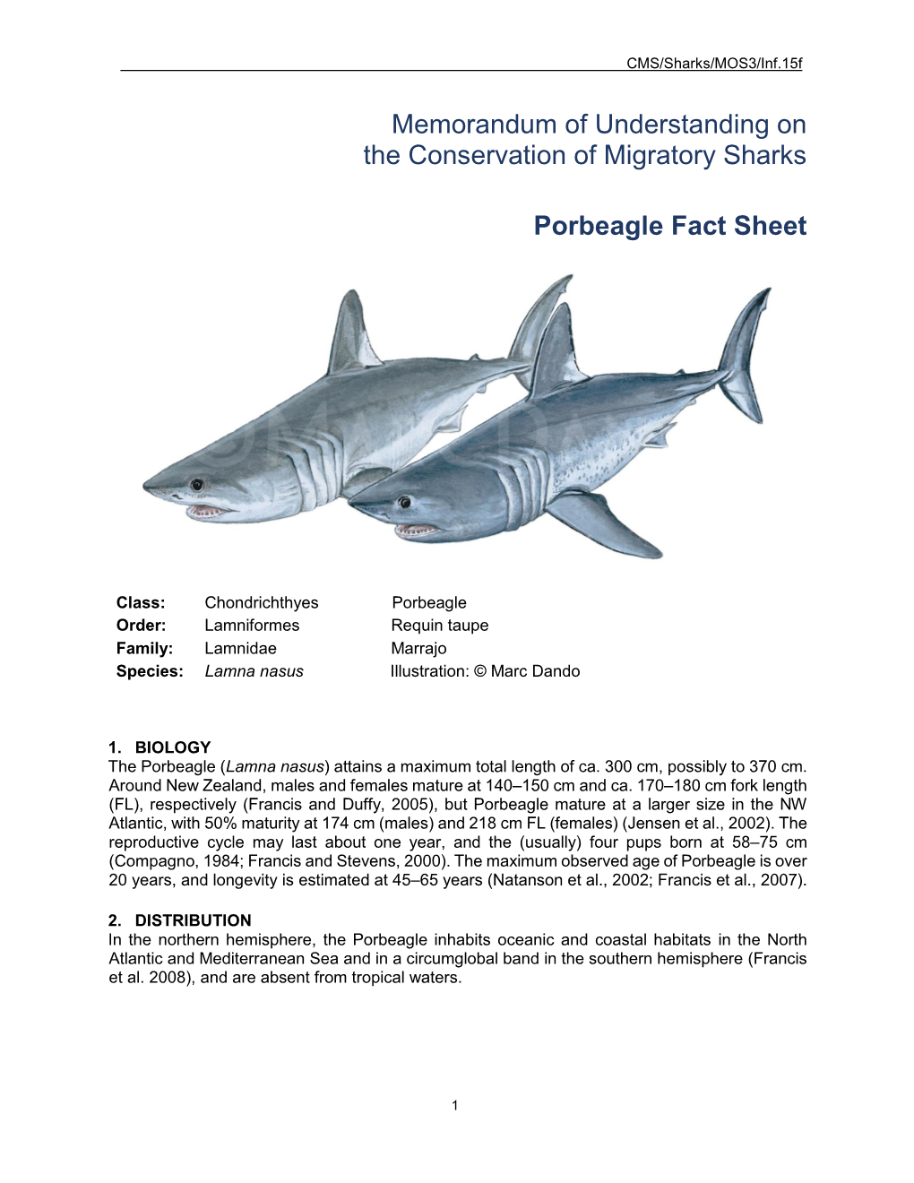 Factsheet: Porbeagle