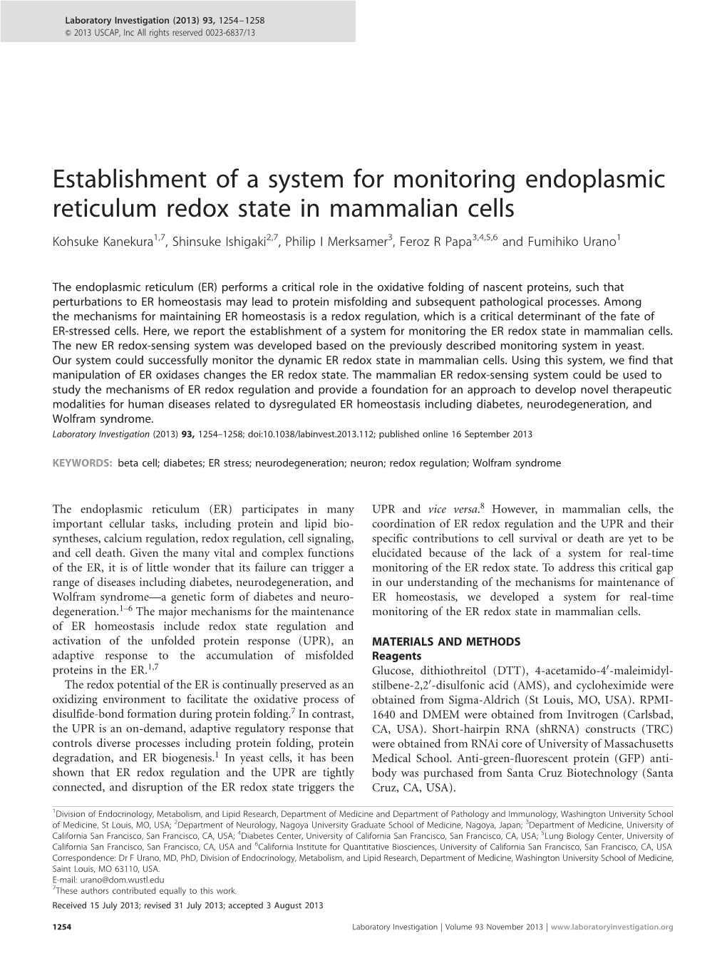 Establishment of a System for Monitoring Endoplasmic Reticulum