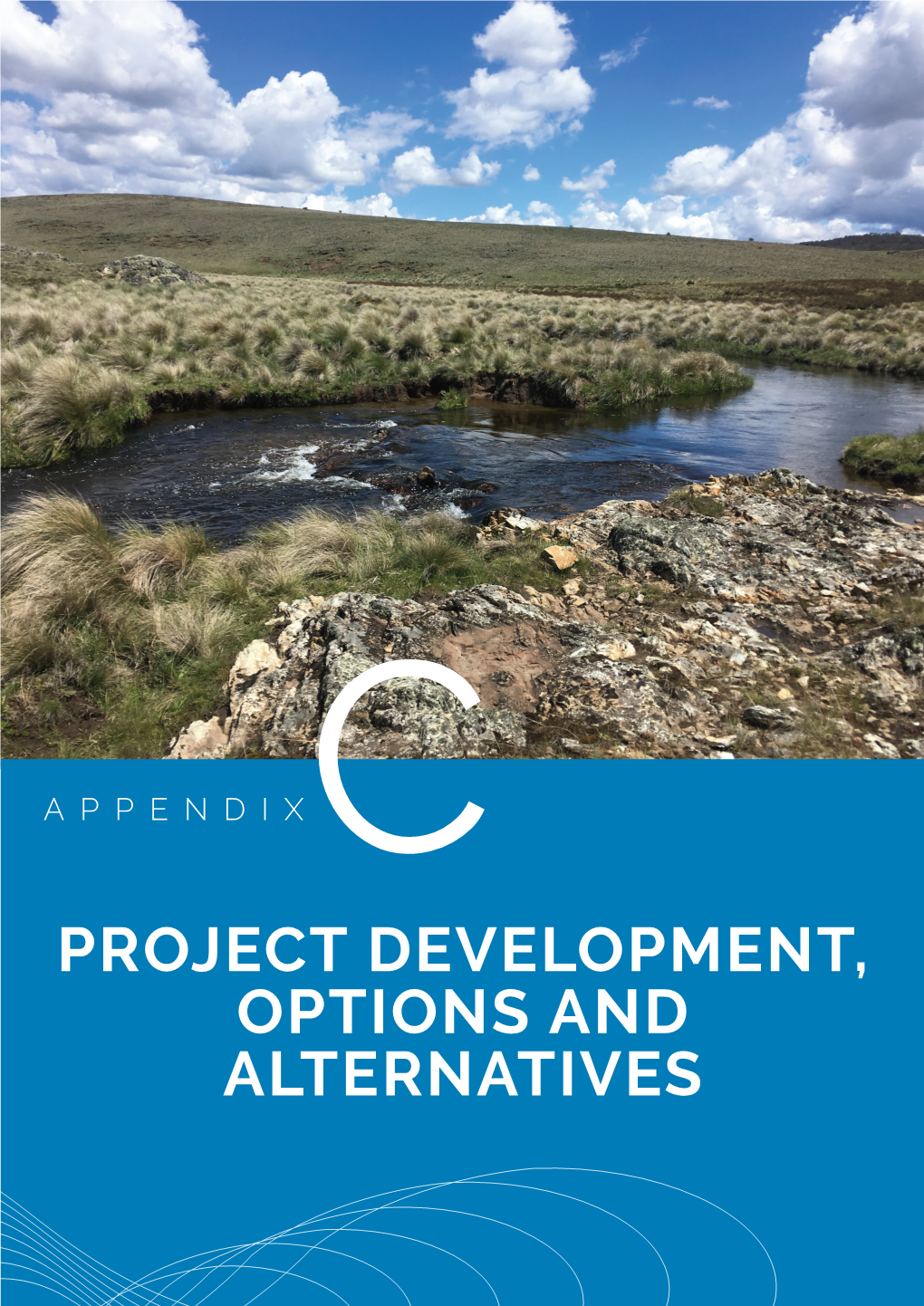 Project Development, Options and Alternatives