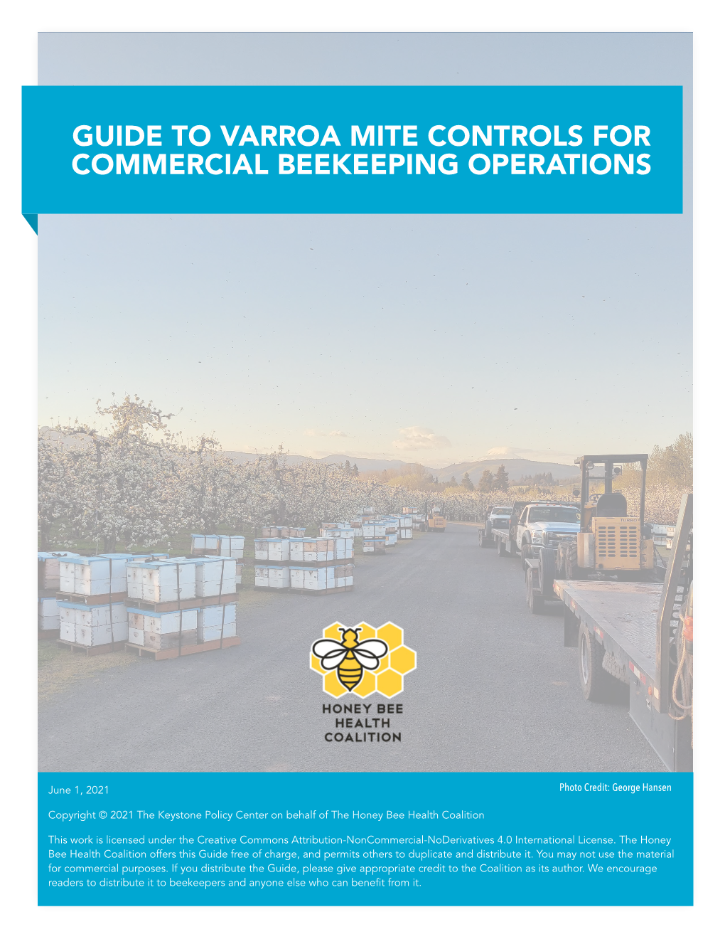 Guide to Varroa Mite Controls for Commercial Beekeeping Operations