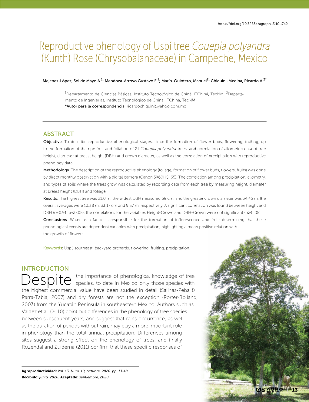 Reproductive Phenology of Uspí Tree Couepia Polyandra (Kunth) Rose (Chrysobalanaceae) in Campeche, Mexico