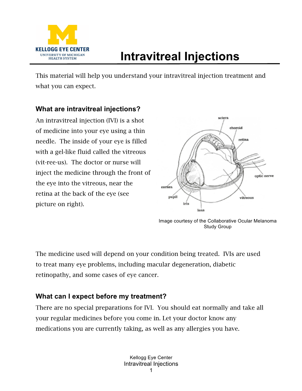 Intravitreal Injections