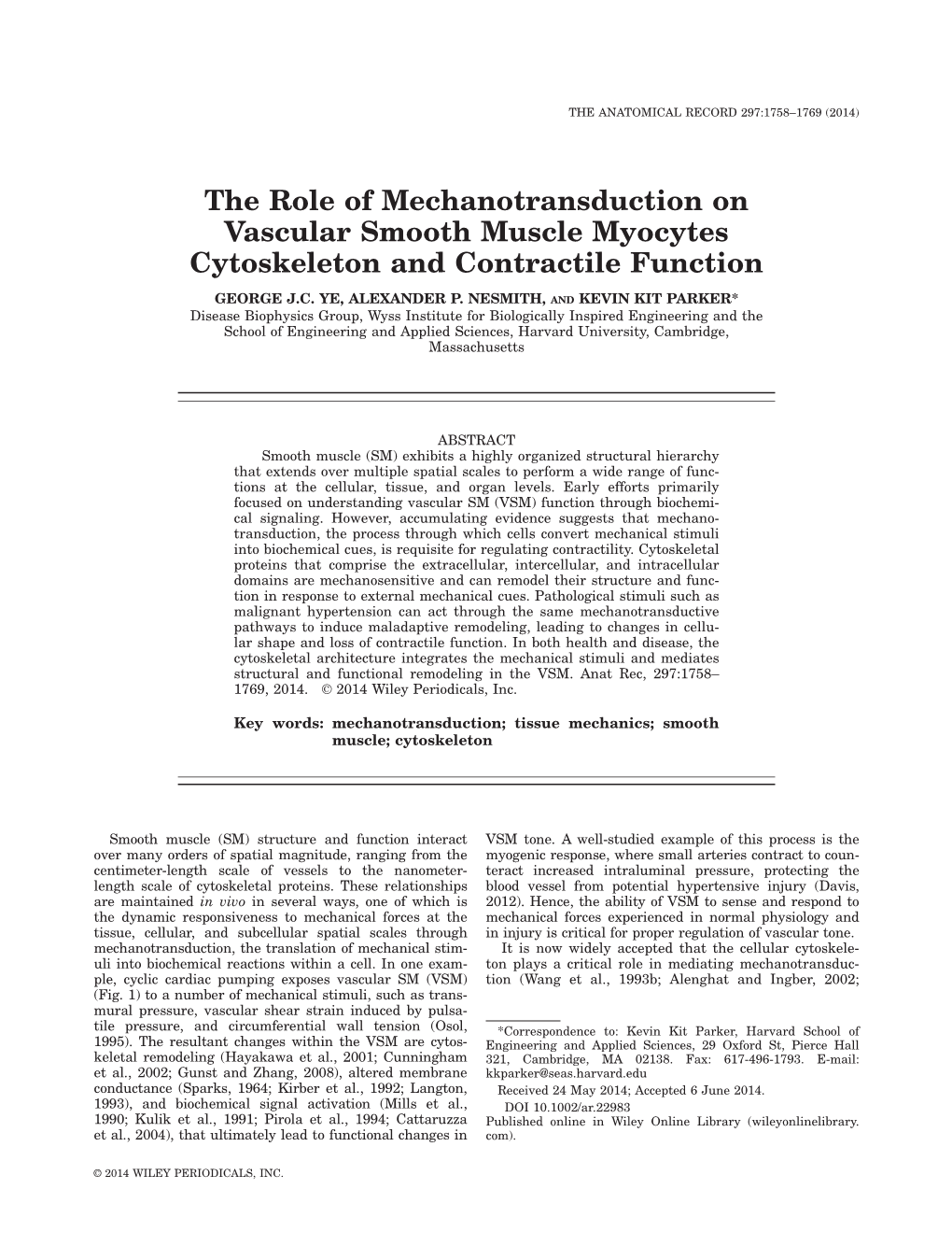 The Role of Mechanotransduction on Vascular Smooth Muscle Myocytes Cytoskeleton and Contractile Function