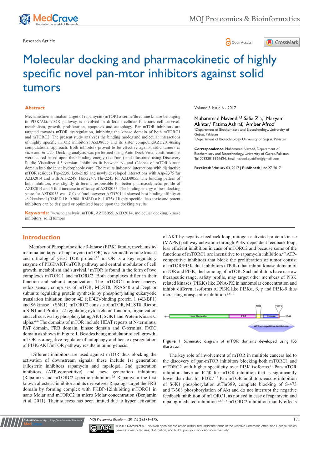 Molecular Docking and Pharmacokinetic of Highly Specific Novel Pan-Mtor Inhibitors Against Solid Tumors