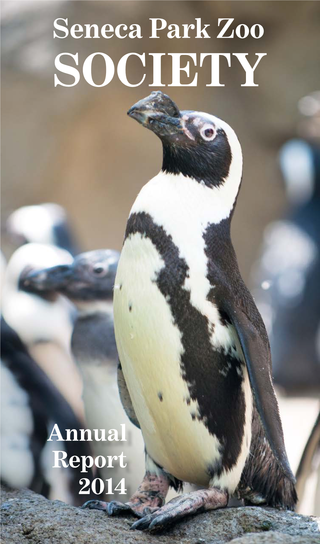 Annual Report 2014 Dear Zoo Friends and Supporters, 2014 Was a Year of Transition for the Seneca Park Zoo Society