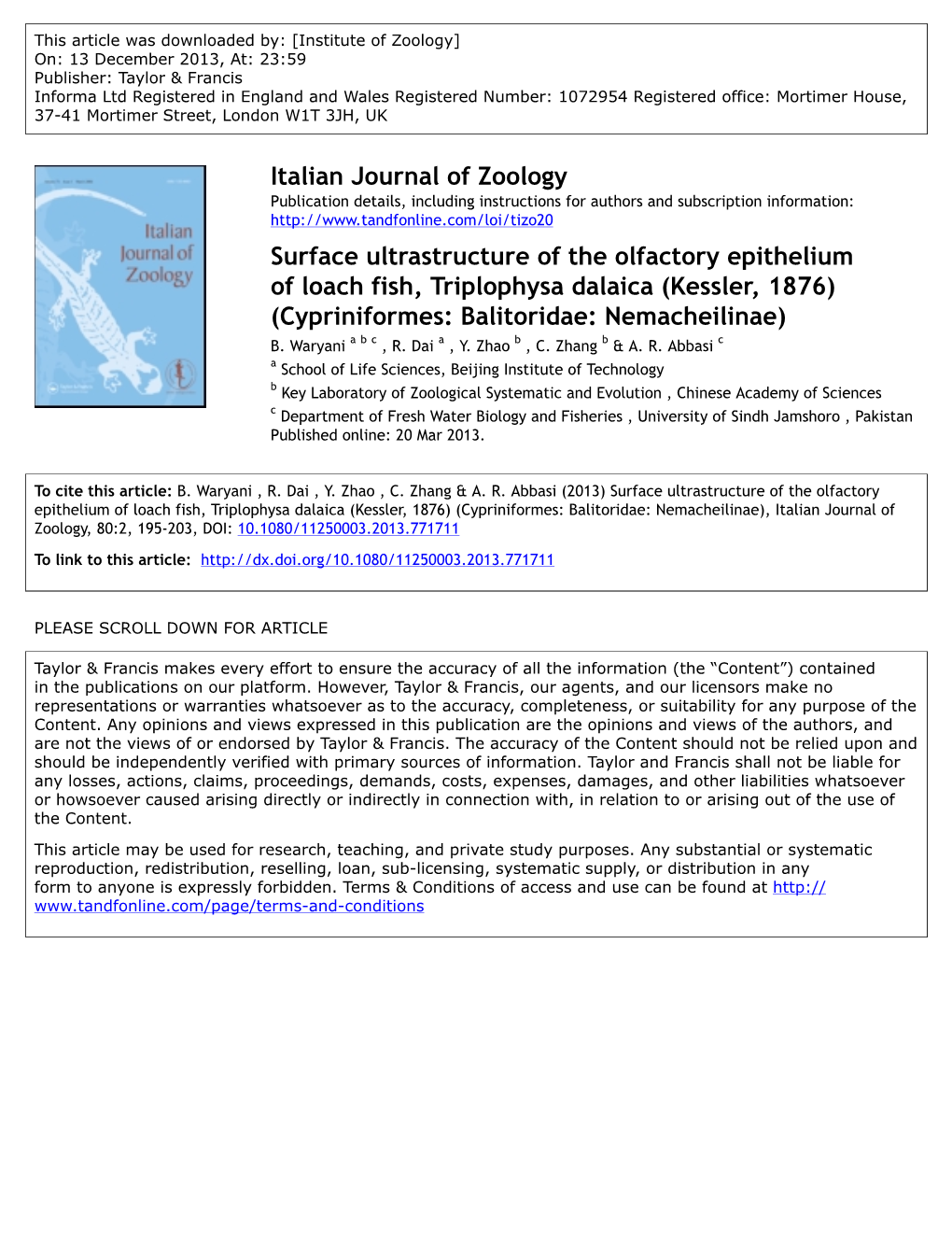 Italian Journal of Zoology Surface Ultrastructure of the Olfactory