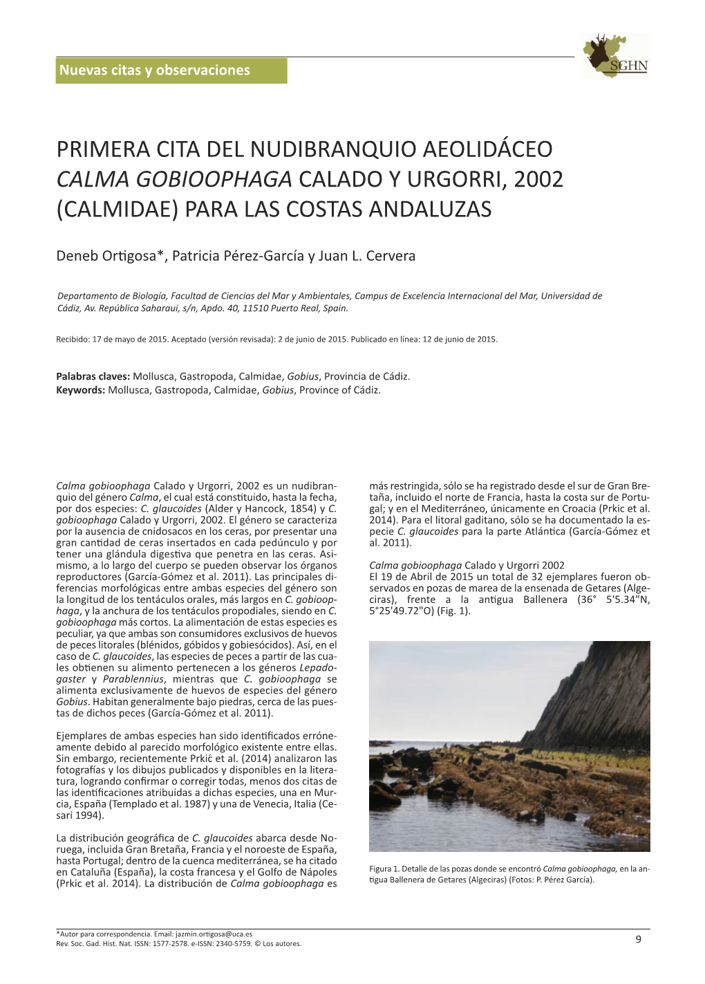 Primera Cita Del Nudibranquio Aeolidáceo Calma Gobioophaga Calado Y Urgorri, 2002 (Calmidae) Para Las Costas Andaluzas