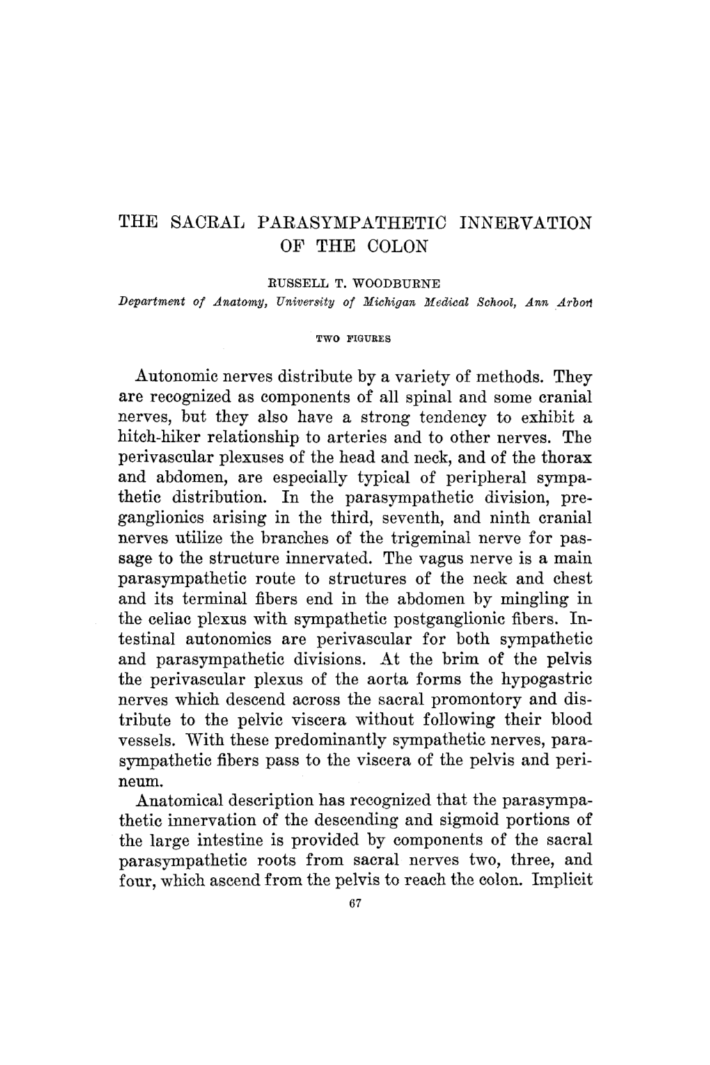 The Sacral Parasympathetic Innervation of the Colon