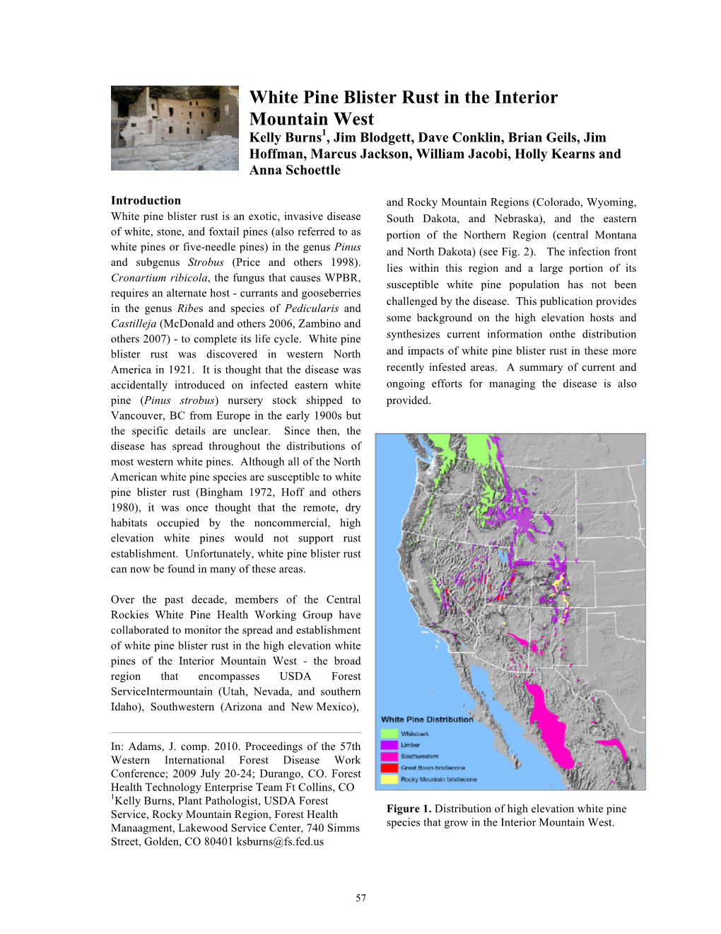 White Pine Blister Rust in the Interior Mountain West