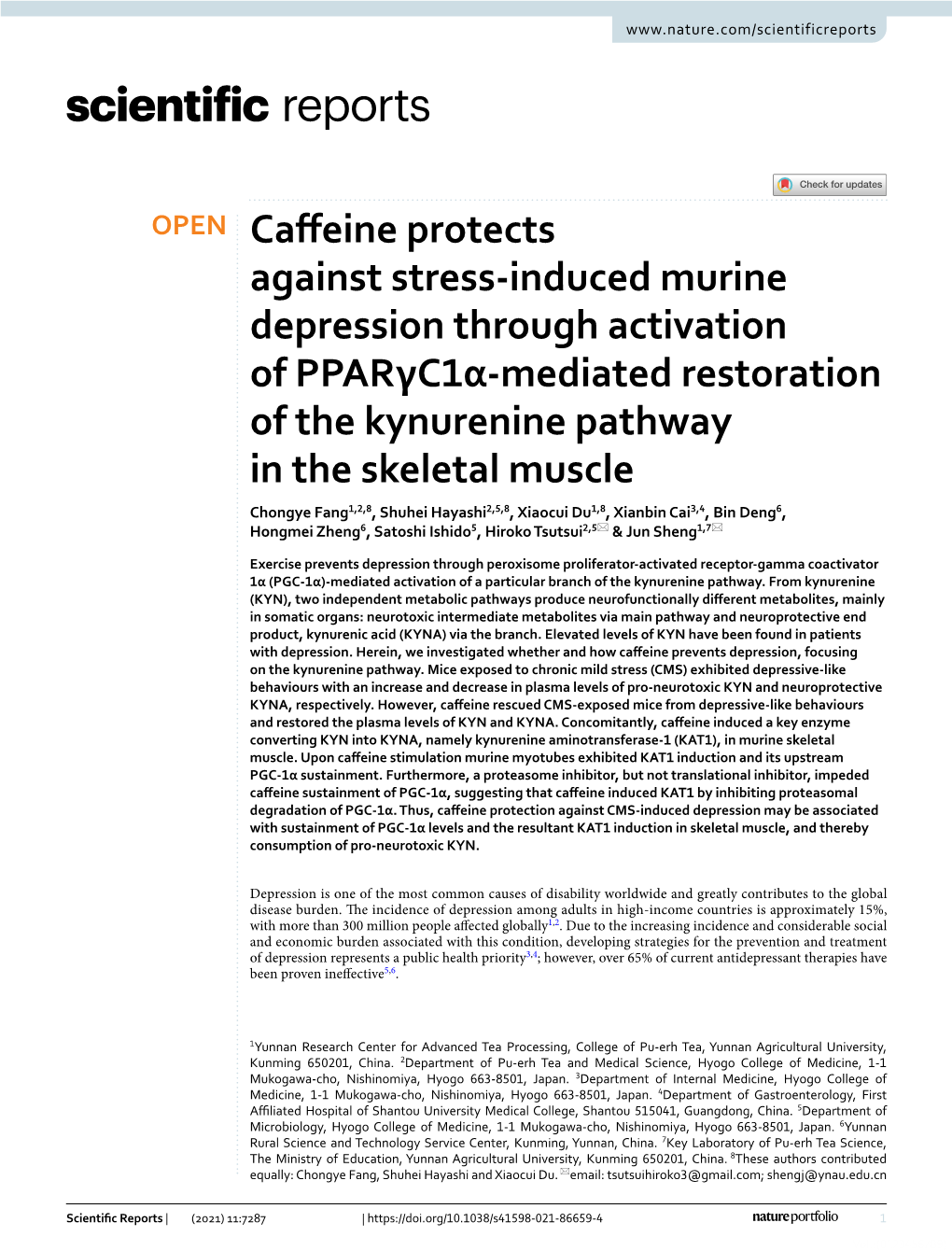 Caffeine Protects Against Stress-Induced Murine Depression