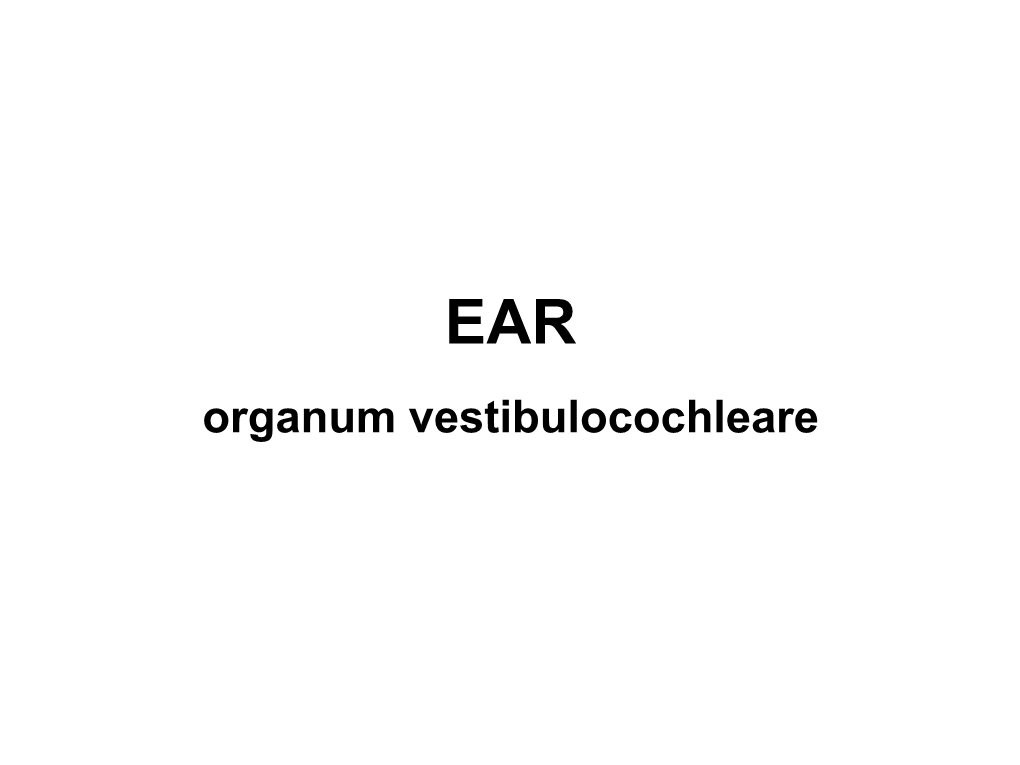 Organum Vestibulocochleare INTERNAL EAR MIDDLE EAR EXTERNAL EAR PETROSAL BONE- Eq EXTERNAL EAR AURICLE