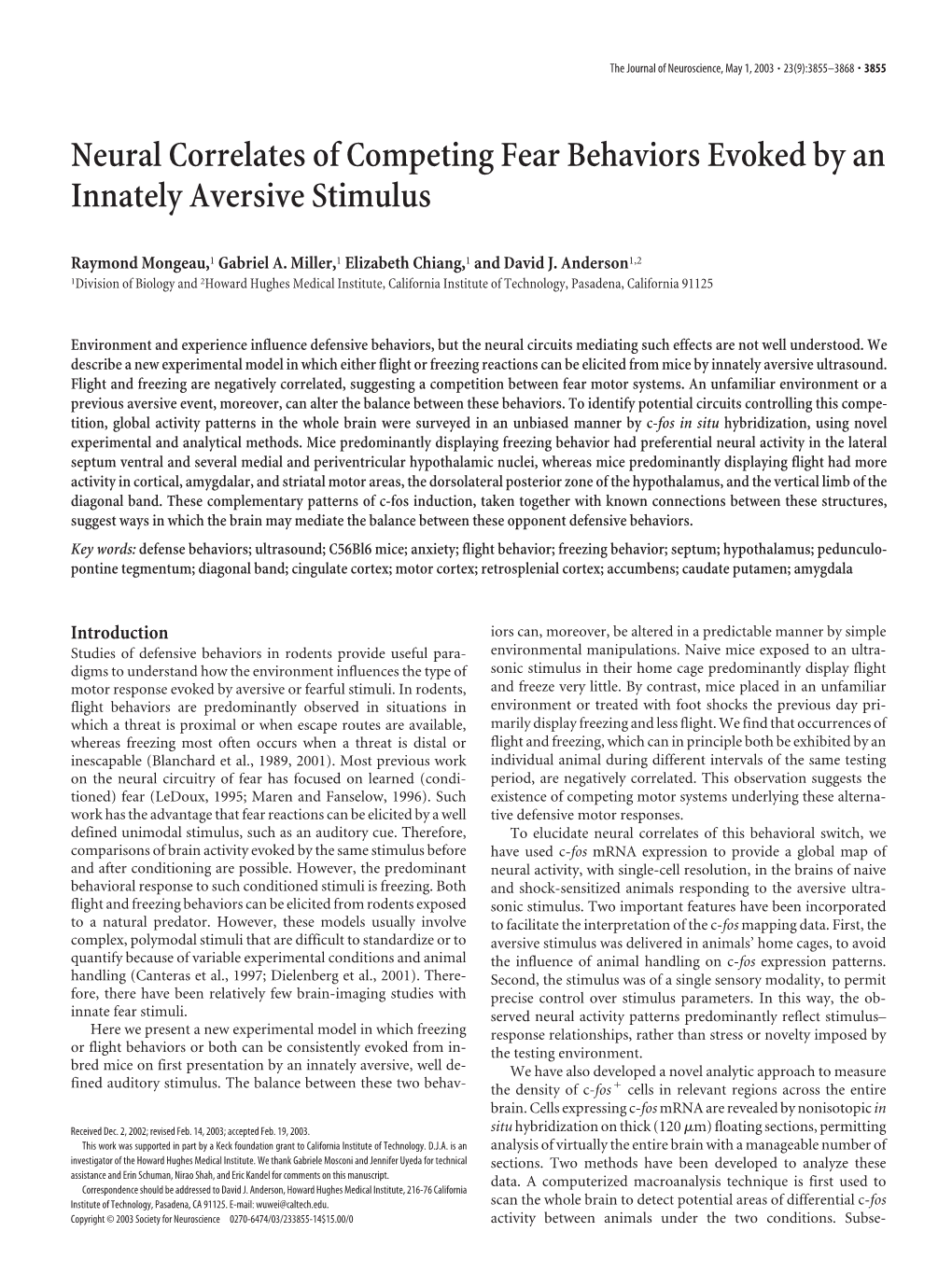 Neural Correlates of Competing Fear Behaviors Evoked by an Innately Aversive Stimulus