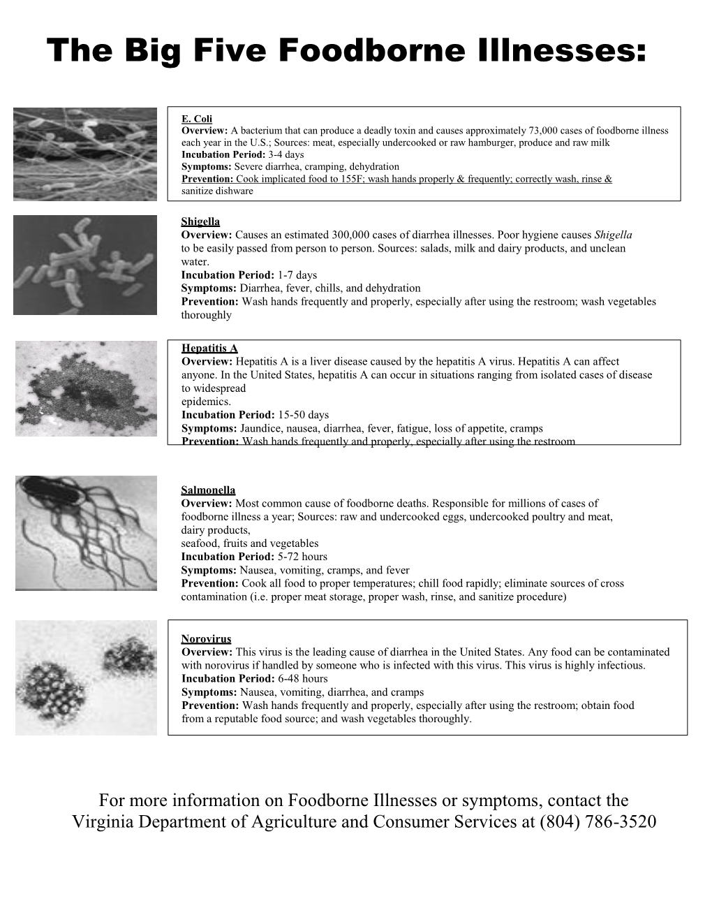 The Big Five Foodborne Illnesses