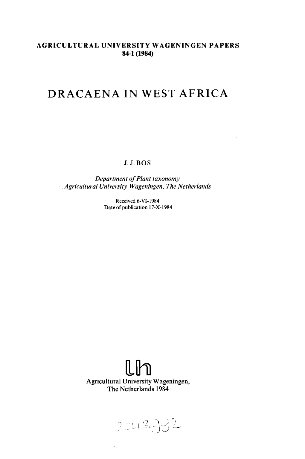 Dracaena in West Africa