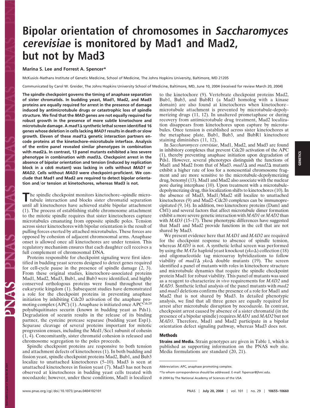 Bipolar Orientation of Chromosomes in Saccharomyces Cerevisiae Is Monitored by Mad1 and Mad2, but Not by Mad3