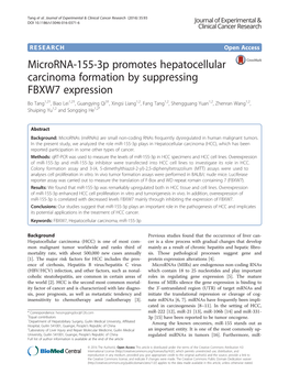 Microrna-155-3P Promotes Hepatocellular Carcinoma Formation