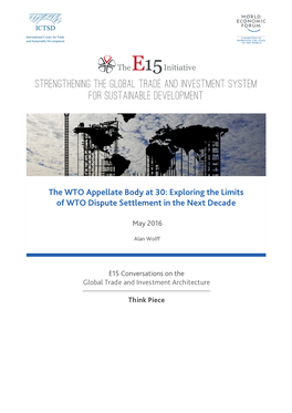 The WTO Appellate Body at 30: Exploring the Limits of WTO Dispute Settlement in the Next Decade