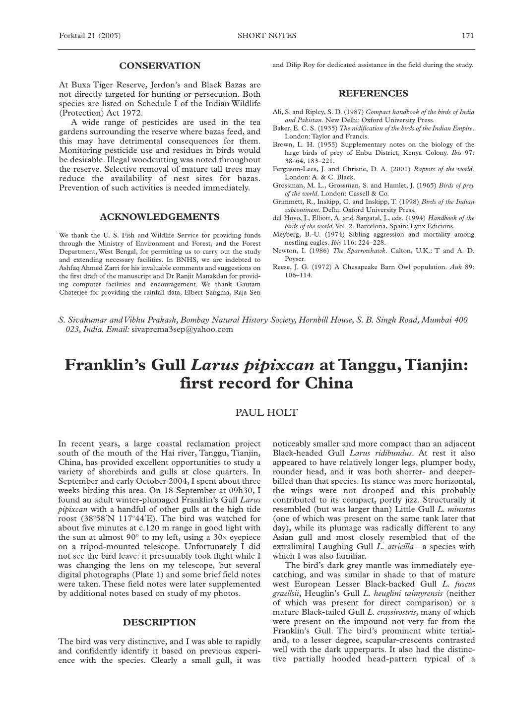 Franklin's Gull Larus Pipixcan at Tanggu, Tianjin: First Record for China