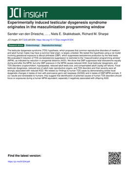 Experimentally Induced Testicular Dysgenesis Syndrome Originates in the Masculinization Programming Window