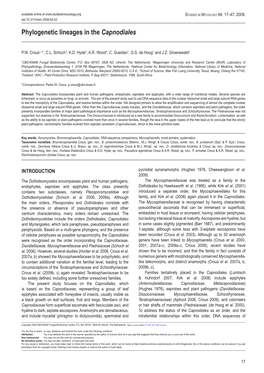 Phylogenetic Lineages in the Capnodiales