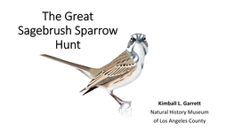 The Great Sagebrush Sparrow Hunt