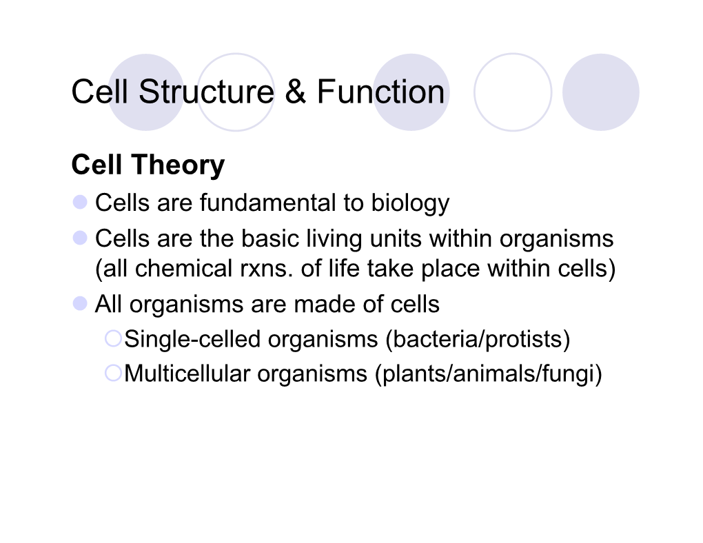 Endomembrane System