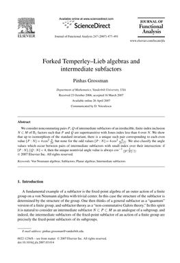 Forked Temperley–Lieb Algebras and Intermediate Subfactors