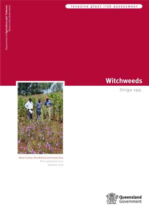 Witch Weeds (Striga Species)