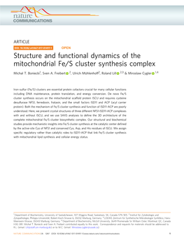 Structure and Functional Dynamics of the Mitochondrial Fe/S Cluster Synthesis Complex