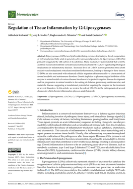 Regulation of Tissue Inflammation by 12-Lipoxygenases