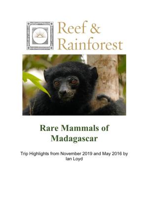 Rare Mammals of Madagascar
