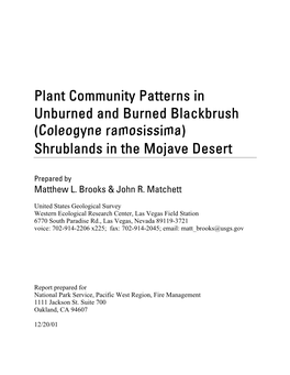 Coleogyne Ramosissima) Shrublands in the Mojave Desert