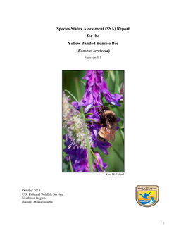 Report for the Yellow Banded Bumble Bee (Bombus Terricola) Version 1.1
