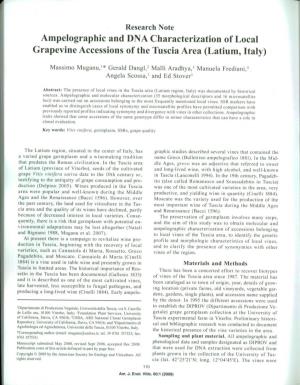 Ampelographic and DNA Characterization of Local Grapevine Accessions of the Tuscia Area (Latium, Italy)