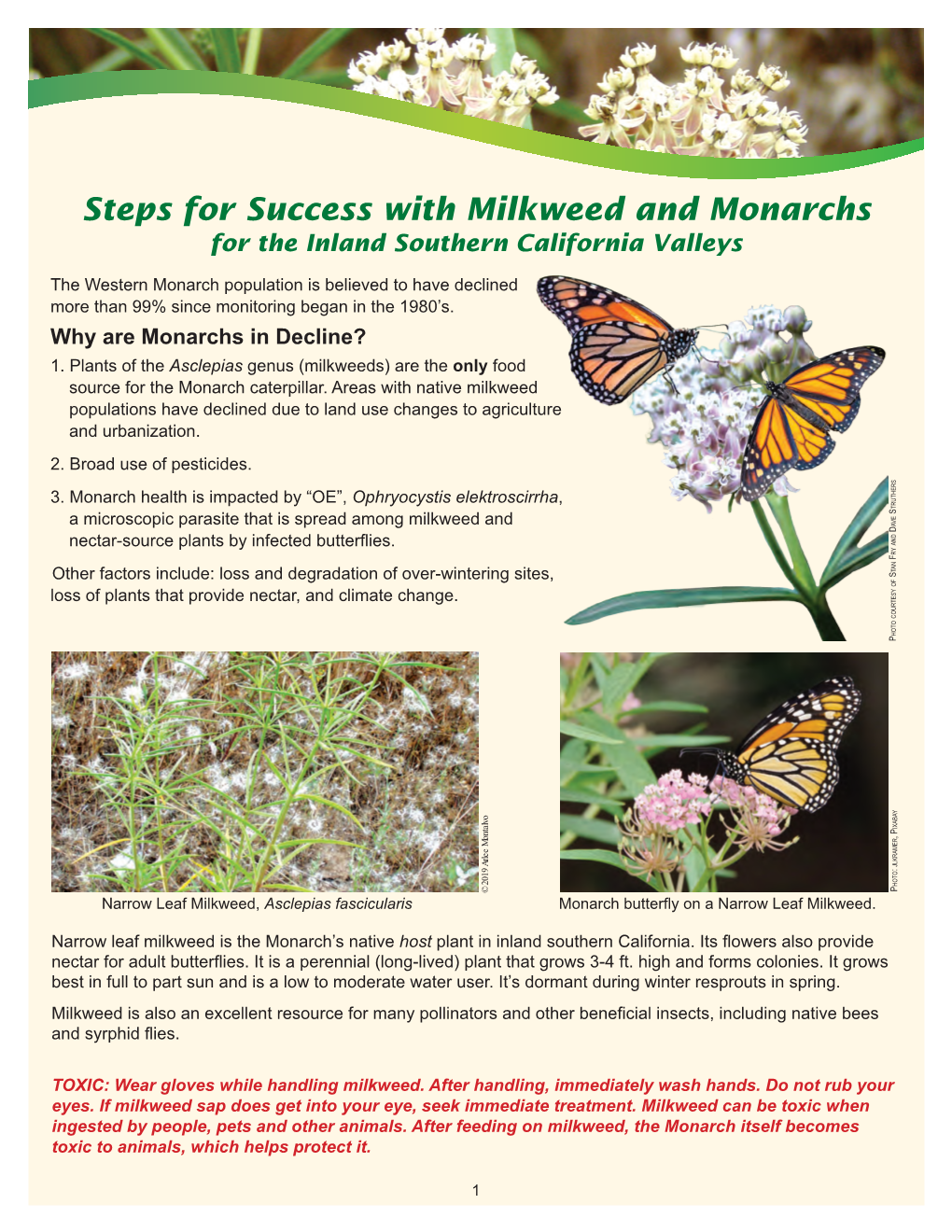 Steps for Success with Milkweed and Monarchs for the Inland Southern California Valleys