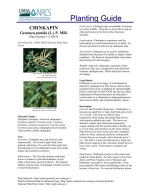 Chinquapin Planting Guide